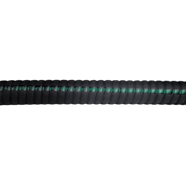 2026_06_10_3495647