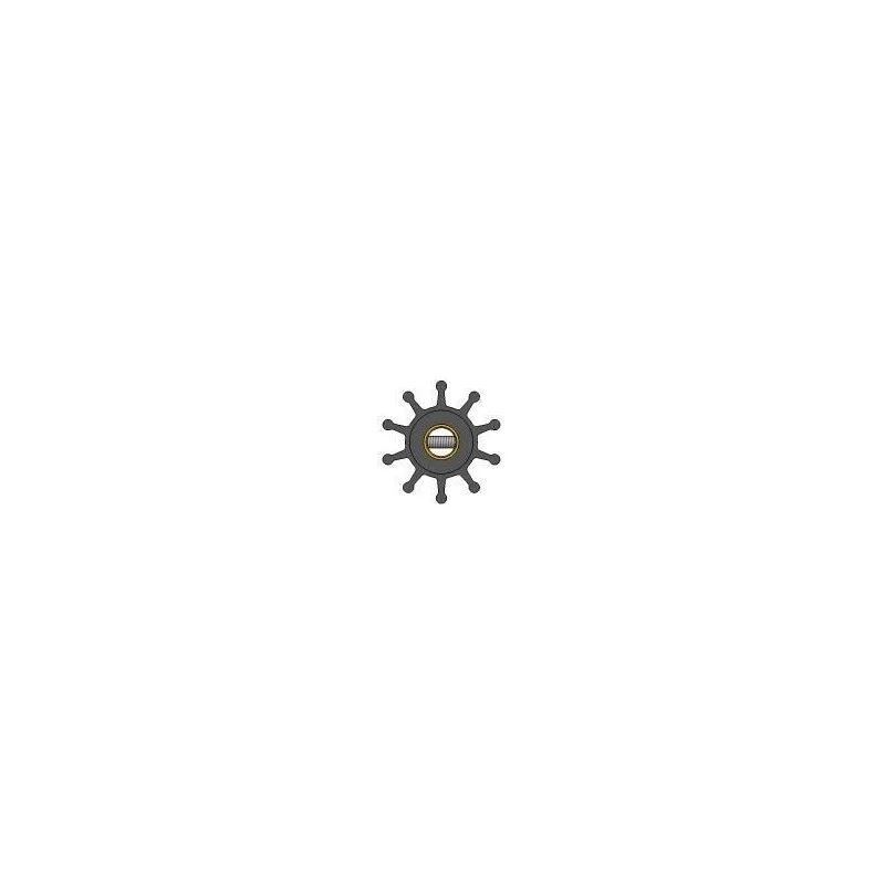 dintra202606090938583376235