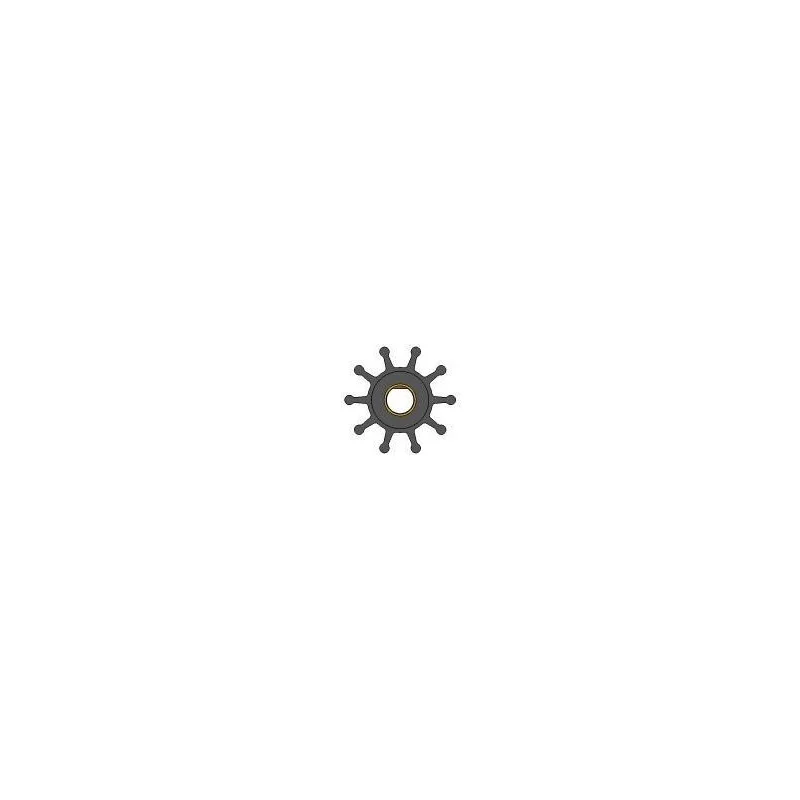 dintra202606090939053376263