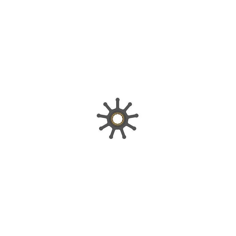 dintra202606090940233376518
