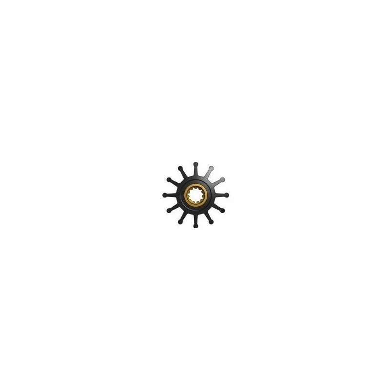 dintra202606090940323376545