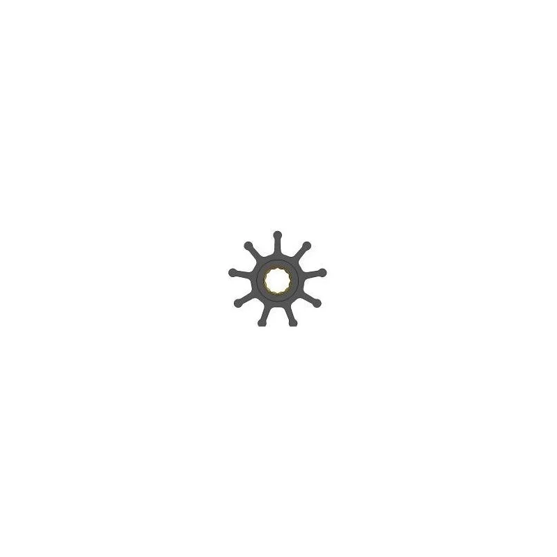 dintra202606090940383376564