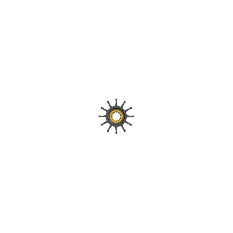 dintra202606090941163376675