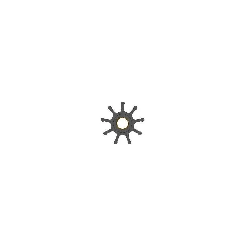 dintra202606090941403376767