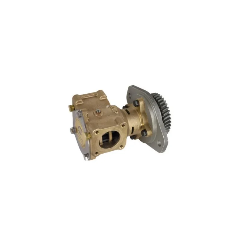 dintra202606091015573383484