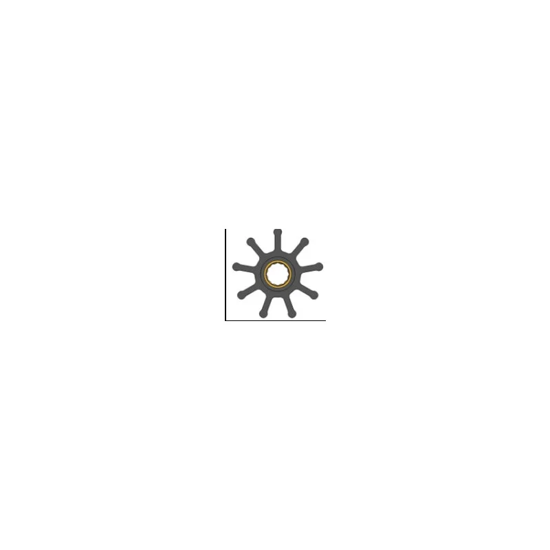 dintra202606091033433386941