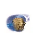 dintra202606091035423387383