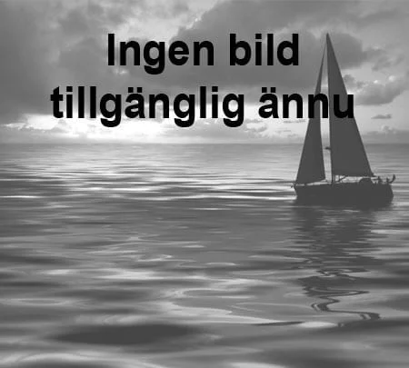 vikingyachting202606091012253382740